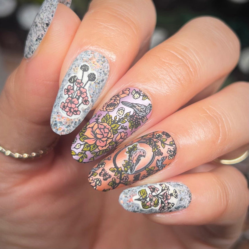 Toile De Jouy (M566) - Nail Stamping Plate