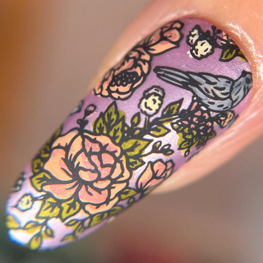 Toile De Jouy (M566) - Nail Stamping Plate