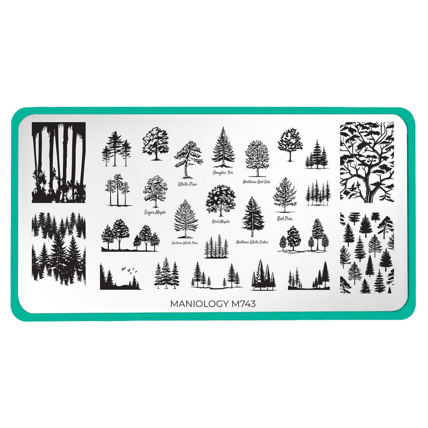 Tree Hugger (M743) - Nail Stamping Plate