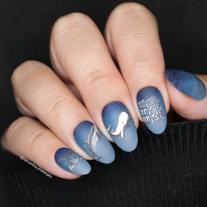 Whale Rider (M608) - Nail Stamping Plate