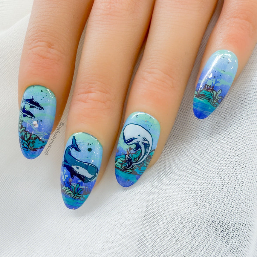 Whale Rider (M608) - Nail Stamping Plate
