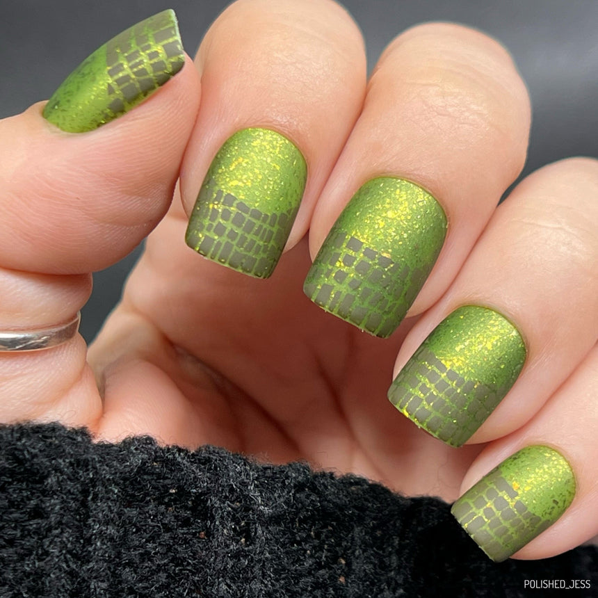 Wild French (M485) - Nail Stamping Plate