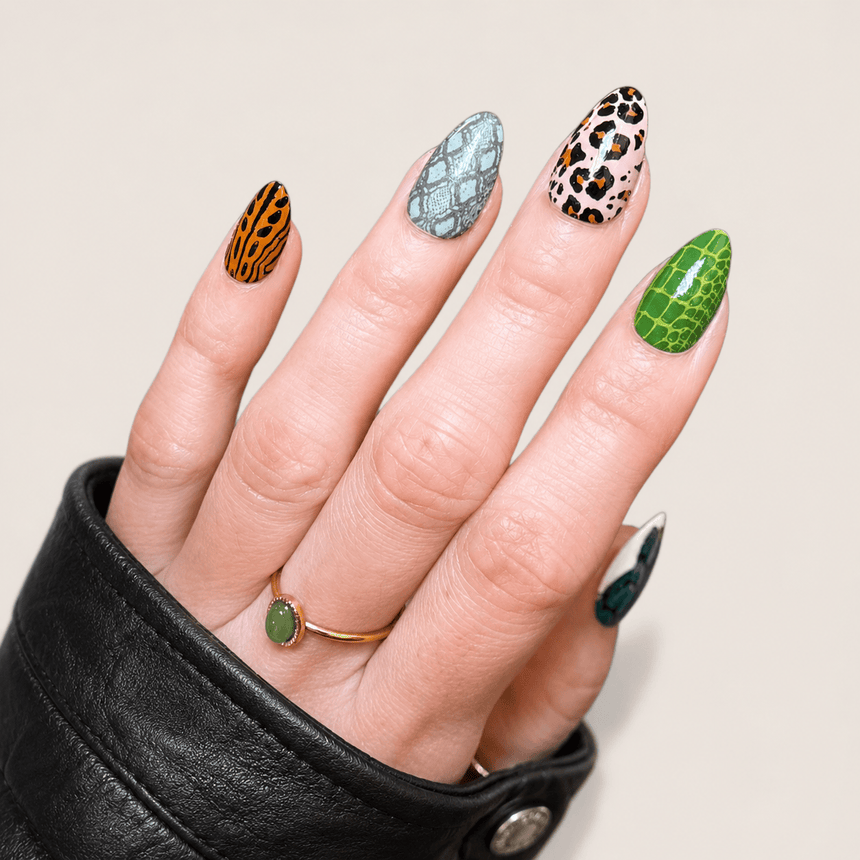 Wild Instincts (M708) - Nail Stamping Plate