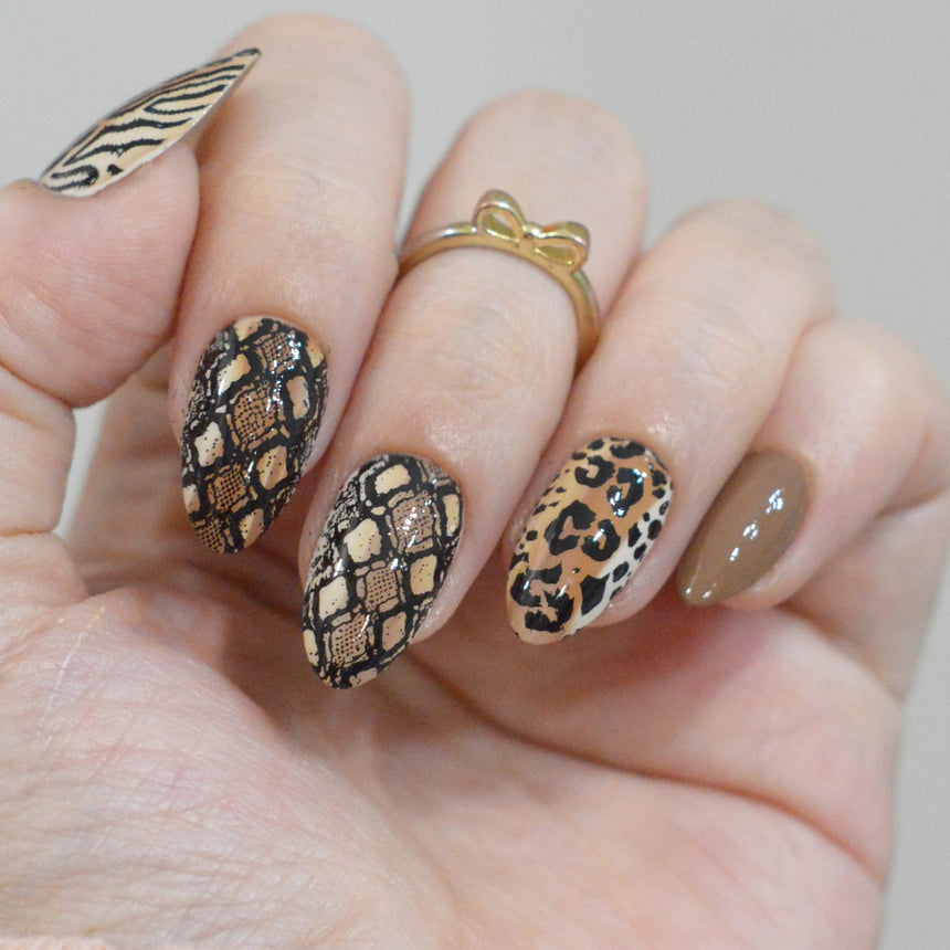 Wild Instincts (M708) - Nail Stamping Plate