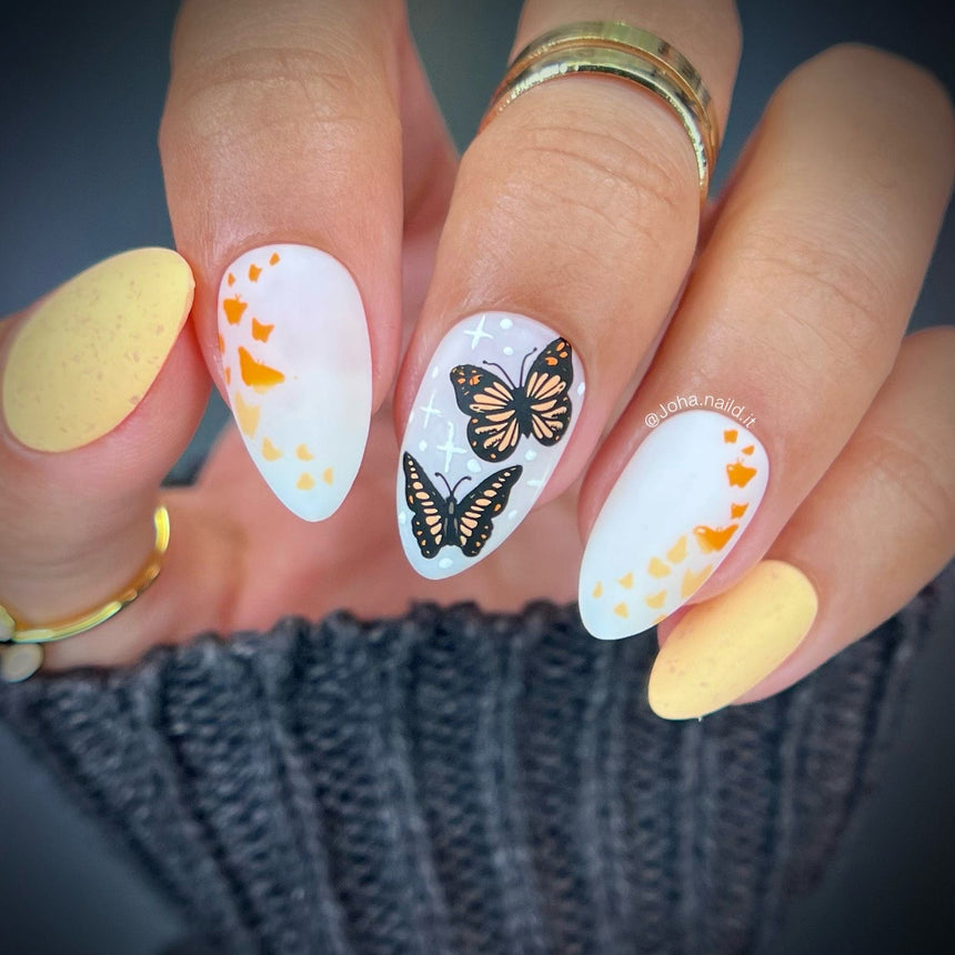Winged Creatures (M369) - Nail Stamping Plate