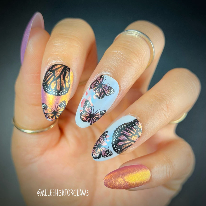 Winged Creatures (M369) - Nail Stamping Plate