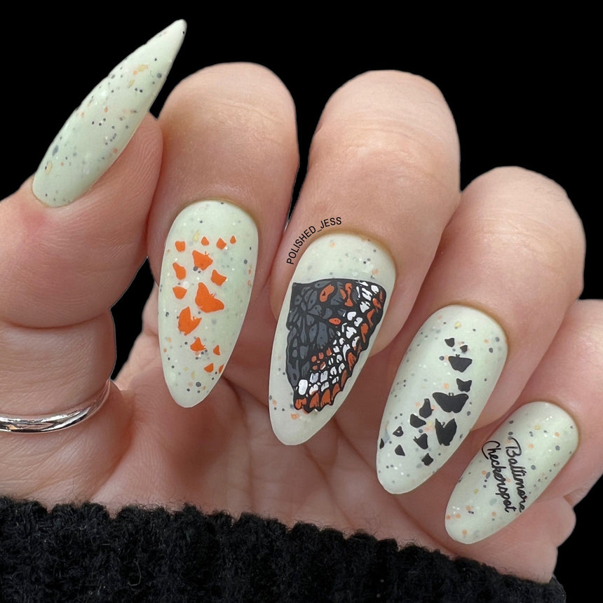 Winged Creatures (M369) - Nail Stamping Plate