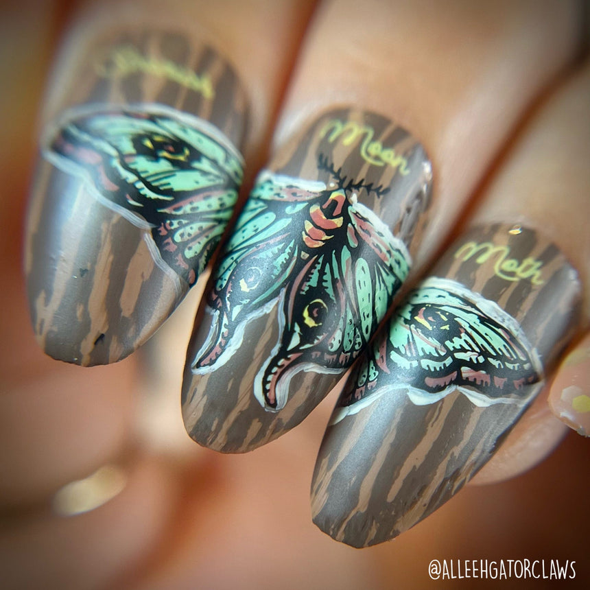 Winged Creatures (M369) - Nail Stamping Plate