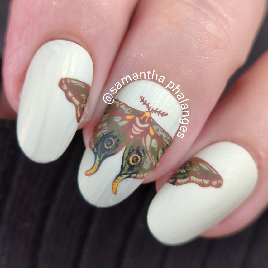 Winged Creatures (M369) - Nail Stamping Plate
