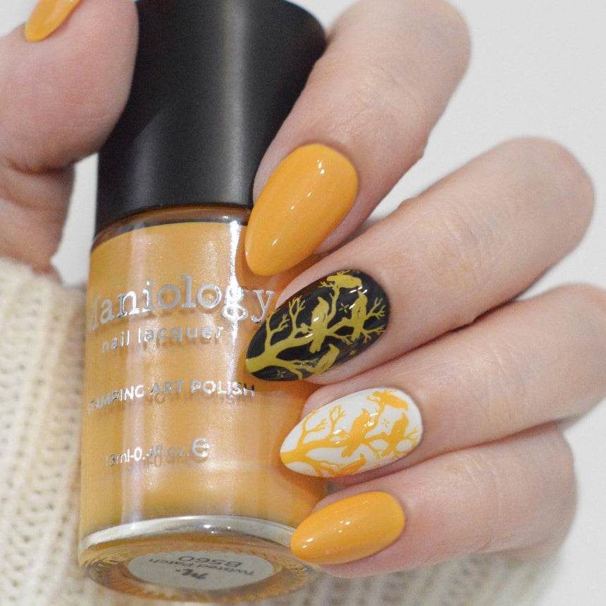 Withered Beauty: 3-Piece Pearl Cream Stamping Polish Set