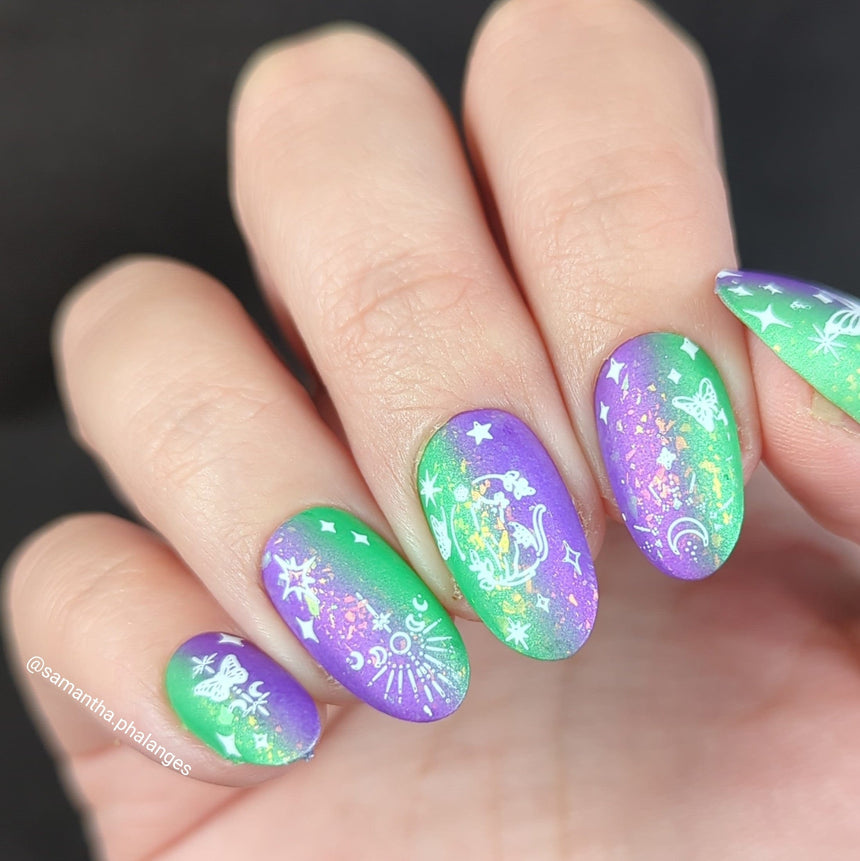 Birthday Bouquests: Written in the Stars (MXM117) - Nail Stamping Plate