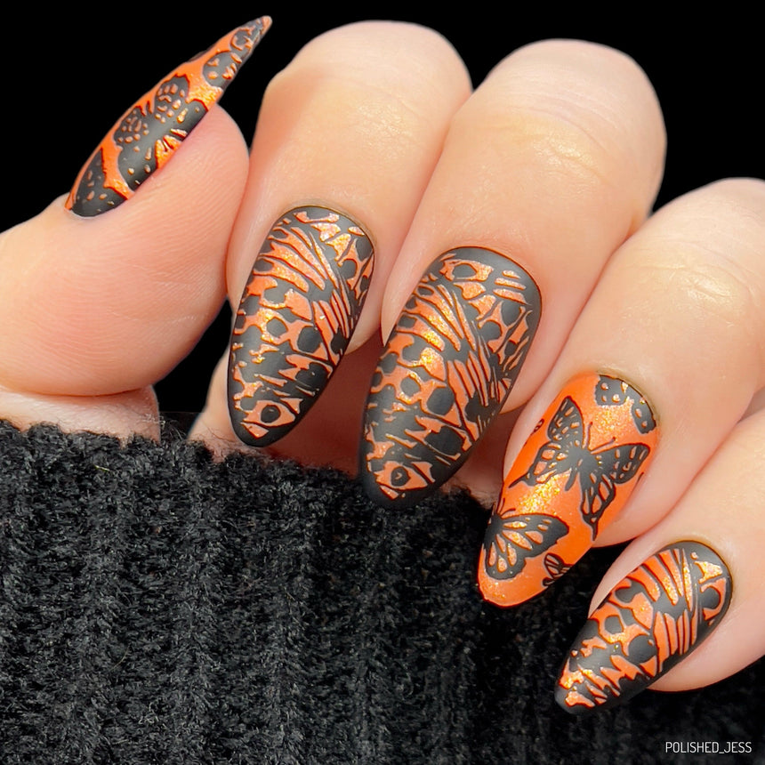 Sky Dancers: Flutter Pirouette (MXM123) - Nail Stamping Plate