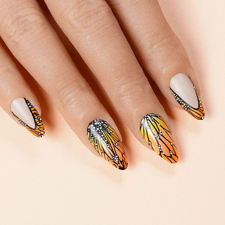 Sky Dancers: Ballet of Wings (MXM124) - Nail Stamping Plate