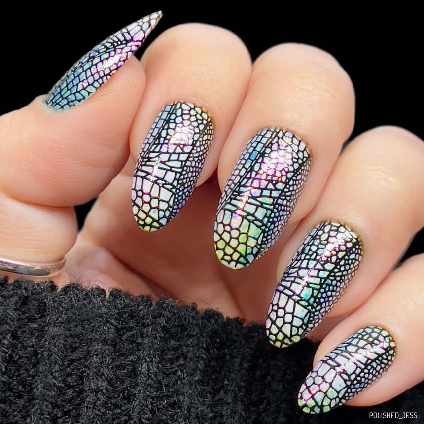 Sky Dancers: Ballet of Wings (MXM124) - Nail Stamping Plate