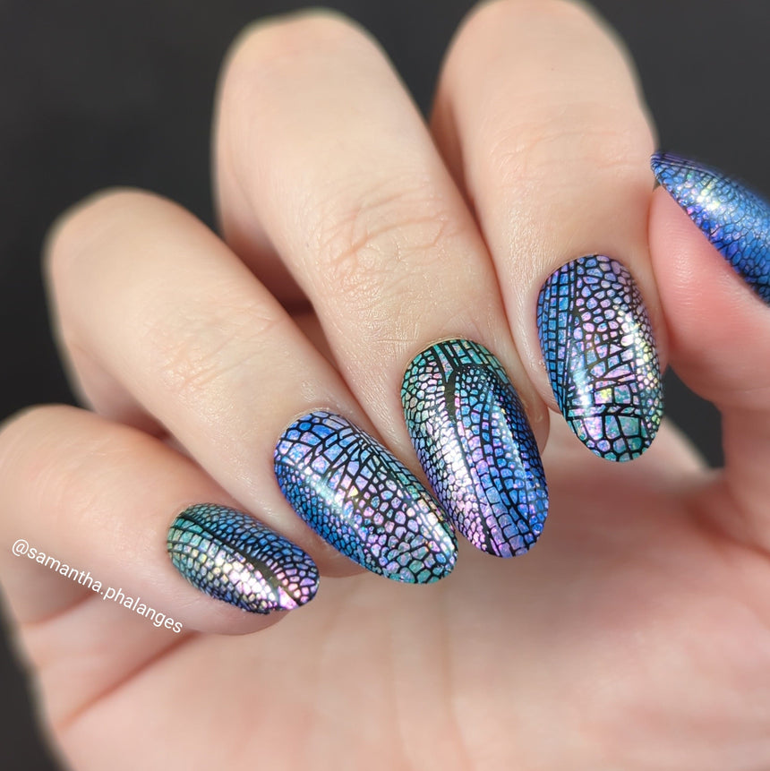 Sky Dancers: Ballet of Wings (MXM124) - Nail Stamping Plate