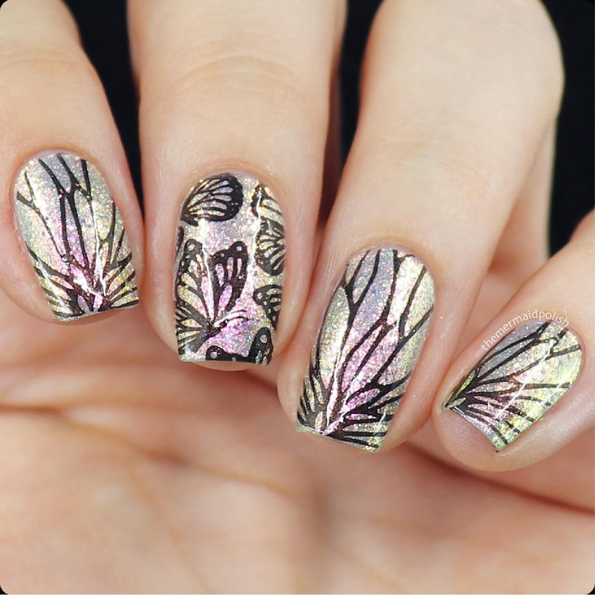 Sky Dancers: Ballet of Wings (MXM124) - Nail Stamping Plate