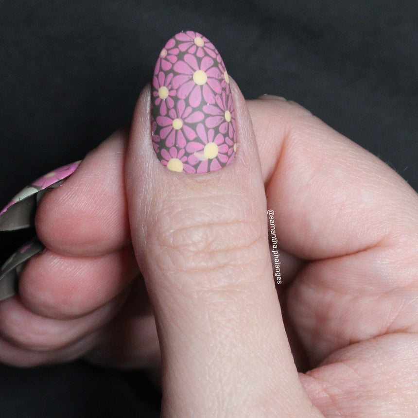 Bloom Revival: Petal Pulse (MXM147) - Nail Stamping Plate