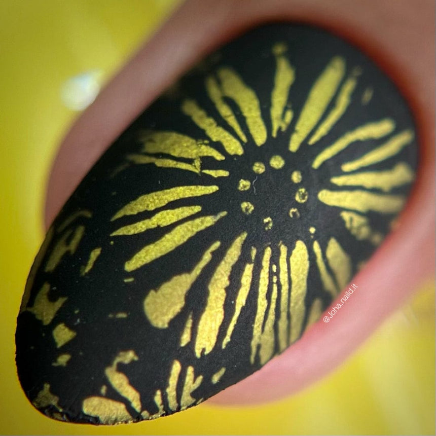 Bees & Blooms: In Full Bloom (MXM104) - Nail Stamping Plate