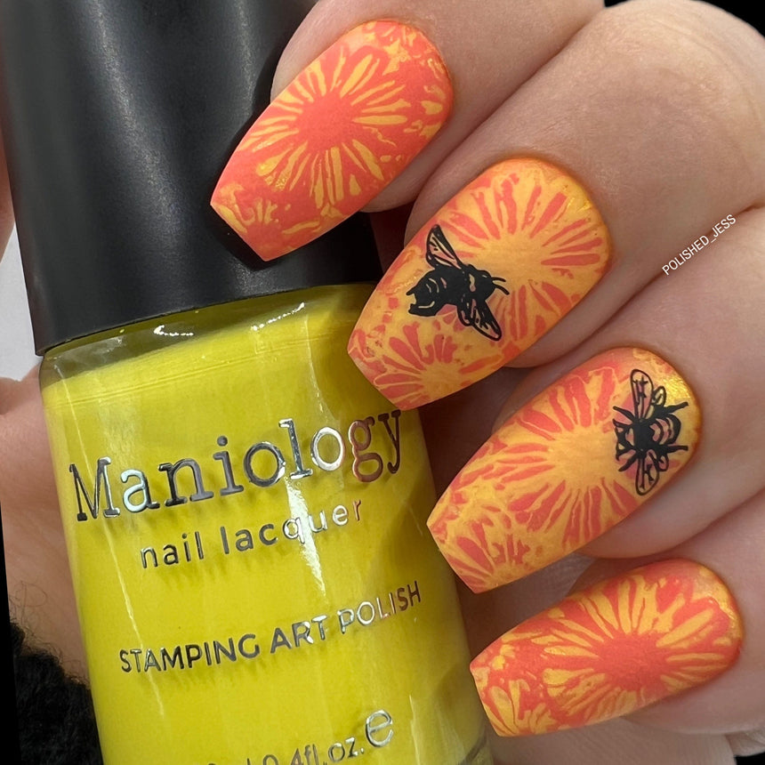 Bees & Blooms: In Full Bloom (MXM104) - Nail Stamping Plate