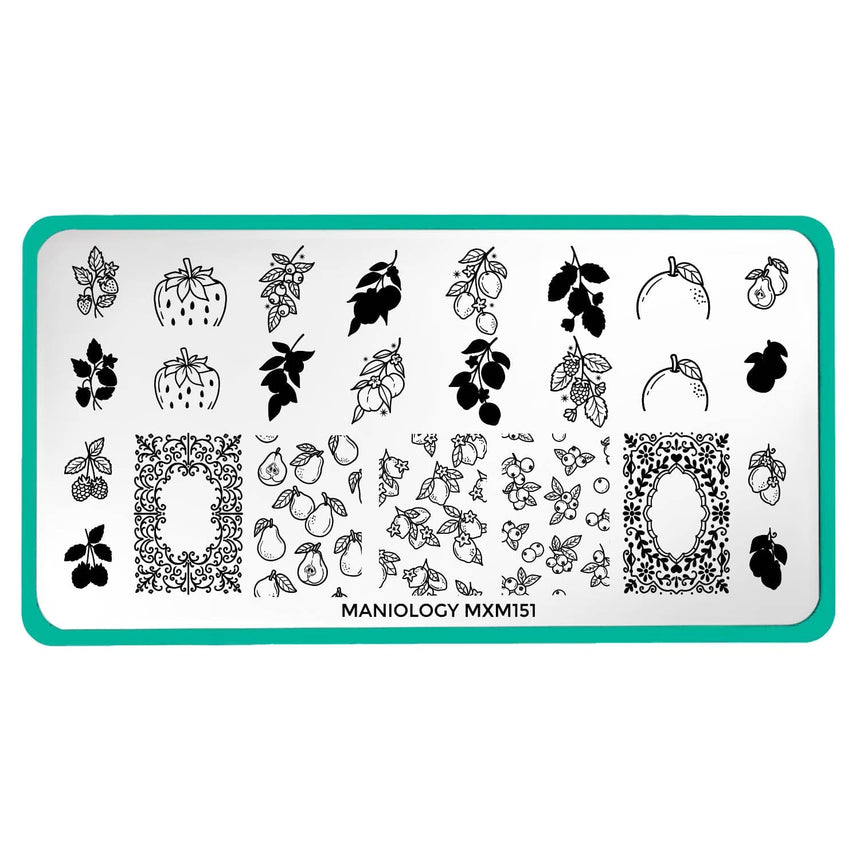 Tutti Frutti: Fruit Basket (MXM151) - Nail Stamping Plate