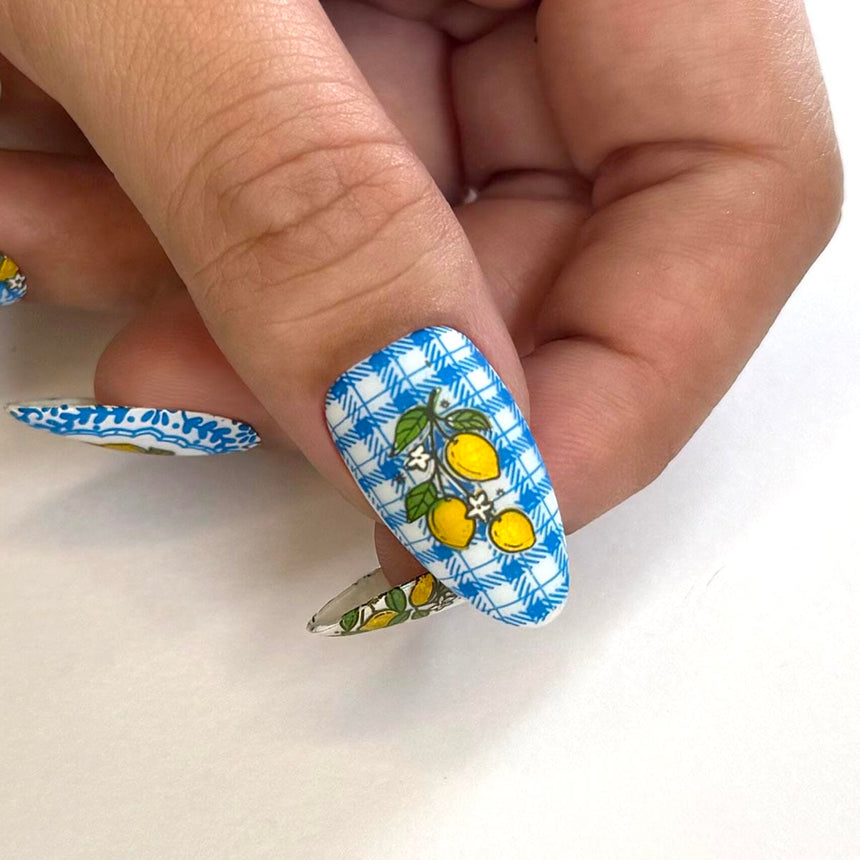 Tutti Frutti: Berry Sweet (MXM152) - Nail Stamping Plate