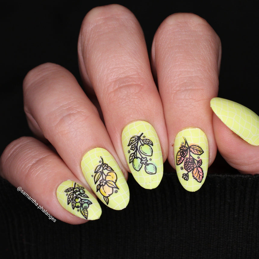 Tutti Frutti: Berry Sweet (MXM152) - Nail Stamping Plate