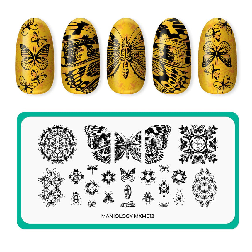 Metamorphosis: Infinite Flutter (MXM012) - Nail Stamping Plate