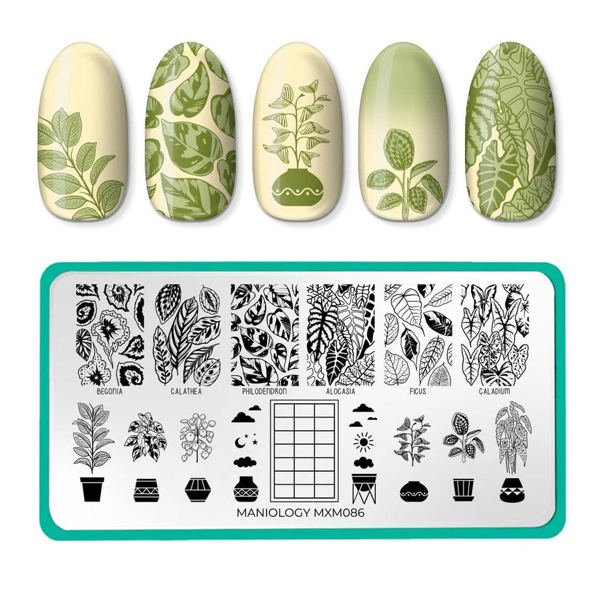 Plant Lover: Lush Living (MXM086) - Nail Stamping Plate