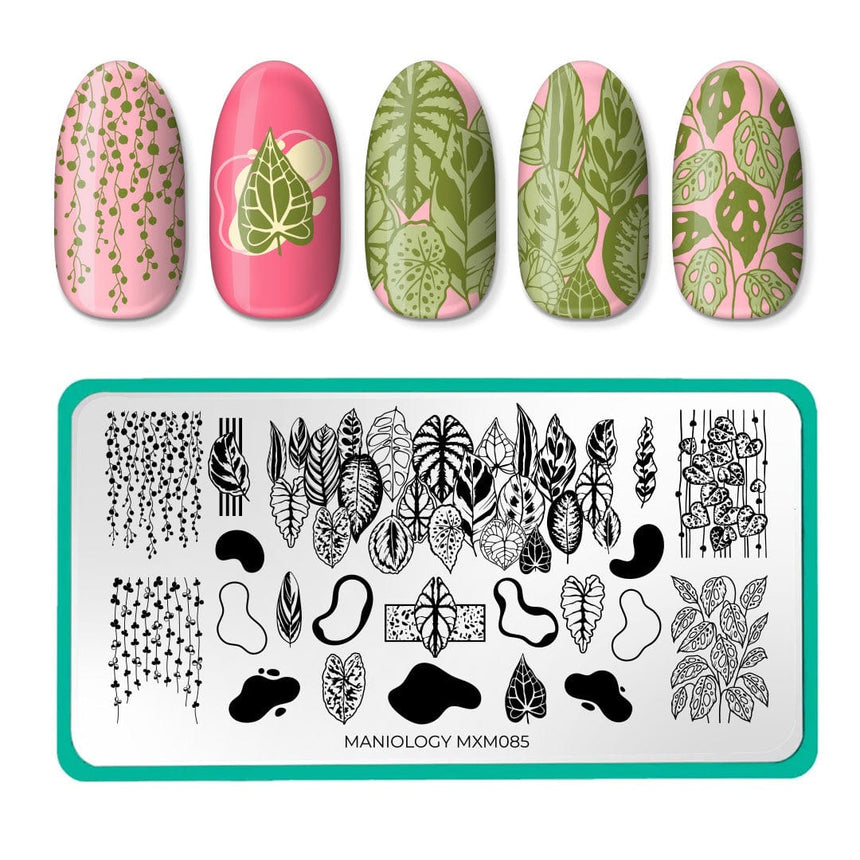 Plant Lover: Urban Jungle (MXM085) - Nail Stamping Plate
