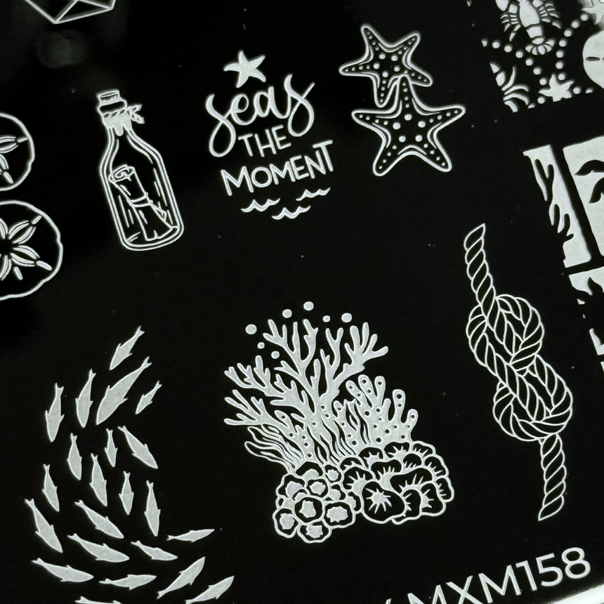 Sail Away: Sea Treasures (MXM158) - Nail Stamping Plate
