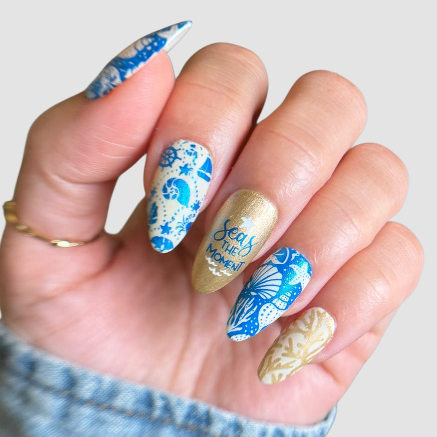 Sail Away: Sea Treasures (MXM158) - Nail Stamping Plate