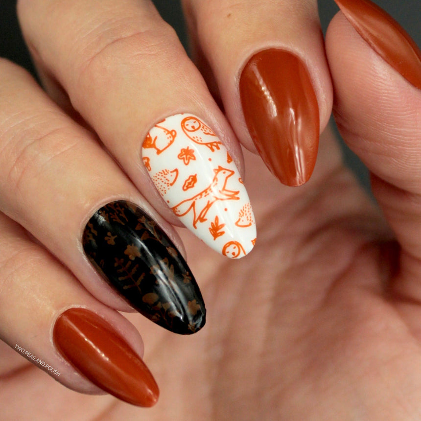 Autumn Blossom: Chrysanthemum (B302) Burnt Orange Stamping Polish