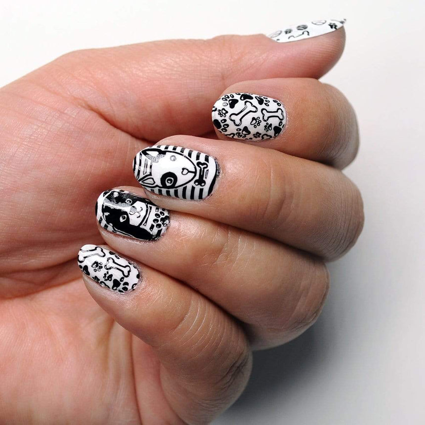 Maniology best in show starter kit