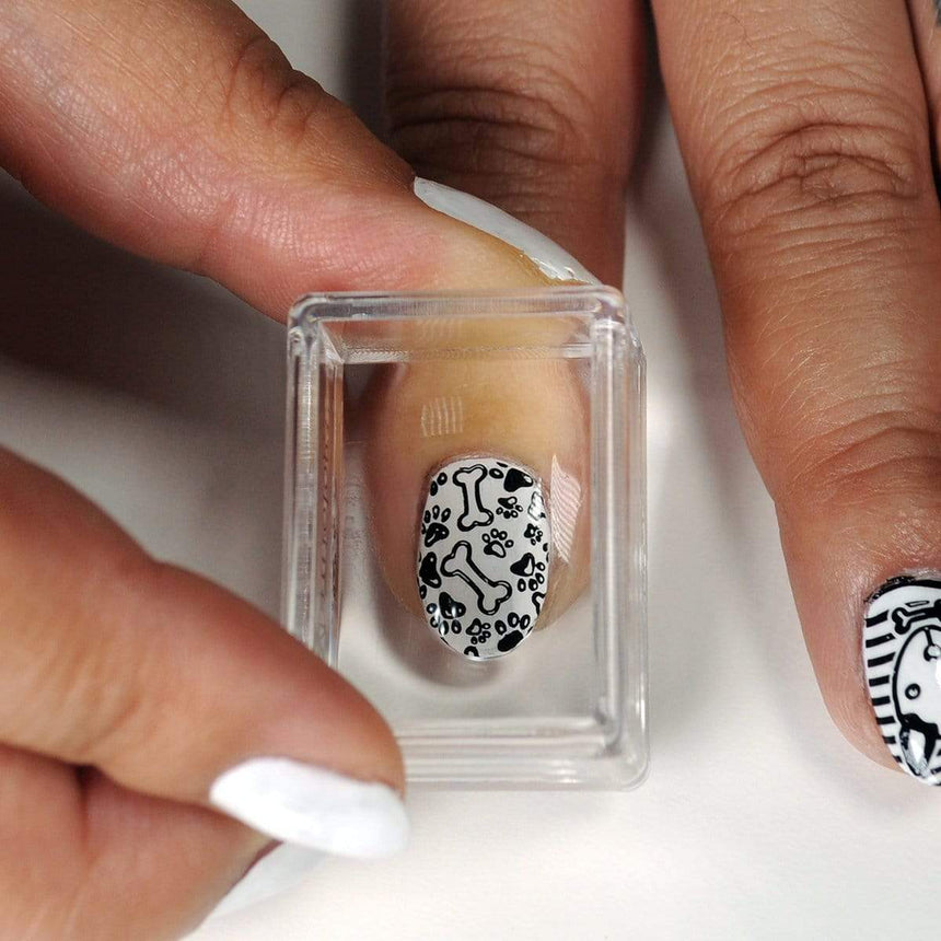 Maniology best in show starter kit