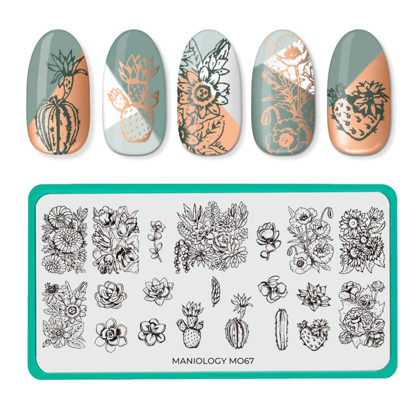 Botanicals: Garden Party / Desert Rose (m067) - Nail Stamping Plate