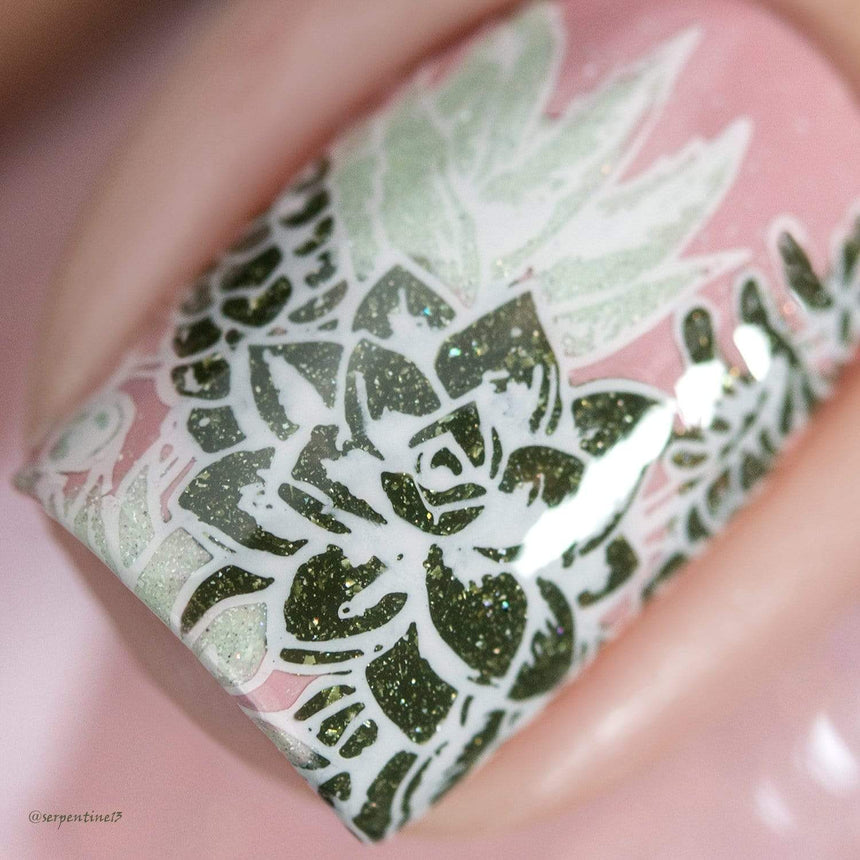 Botanicals: Garden Party / Desert Rose (m067) - Nail Stamping Plate