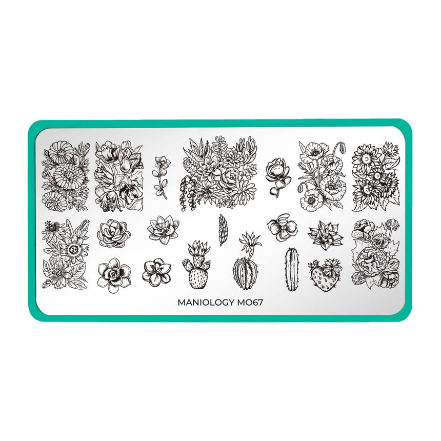 A nail art stamping plate full of flowers bouquet, succulents and cacti by Maniology (m067).