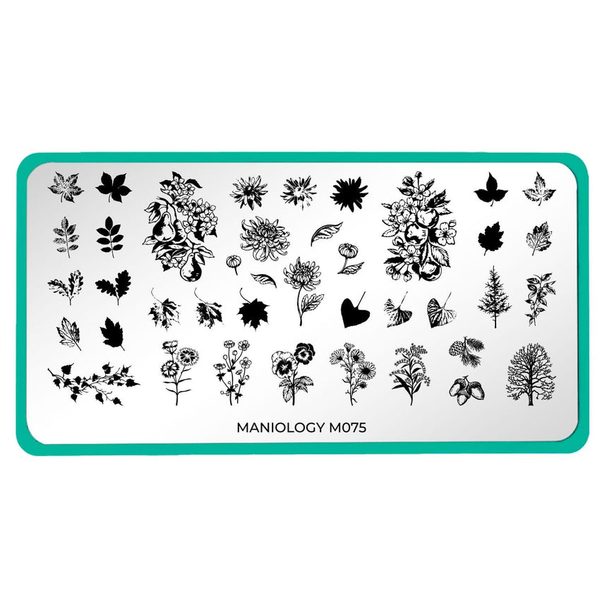 A nail stamping plate with 16 layering designs, creating colorful florals and leaves for fall by Maniology (m075).