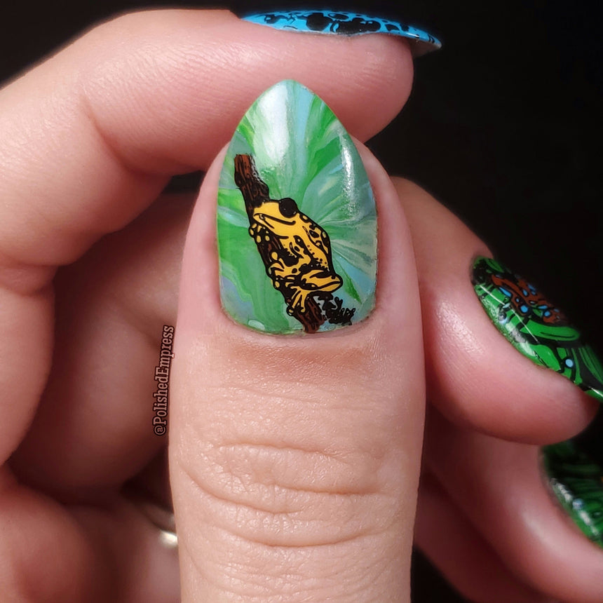 Forest Wonders: Set of 2 Nail Stamping Plates