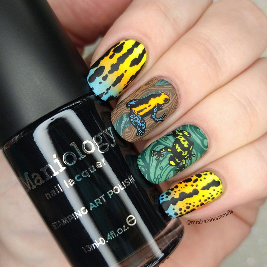 Forest Wonders: Set of 2 Nail Stamping Plates