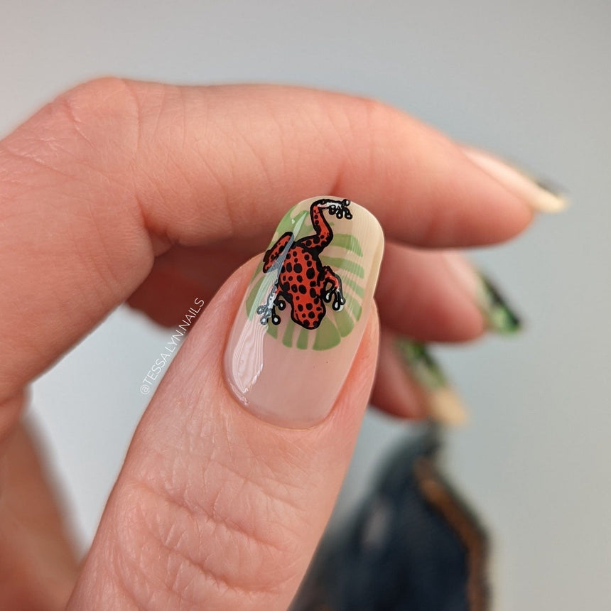 Forest Wonders: Set of 2 Nail Stamping Plates