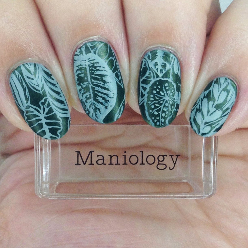 Alocasia (B441) - Shimmer Forest Green Stamping Polish