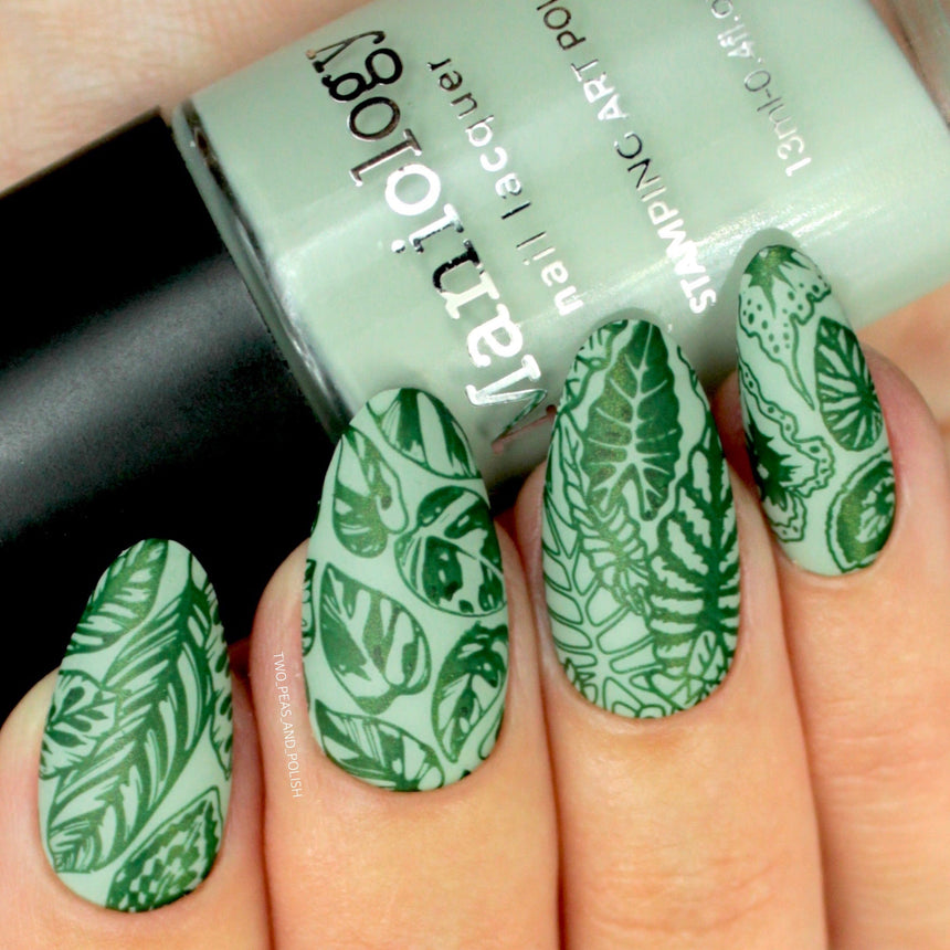 Caladium (B440) - Cream Sage Green Stamping Polish
