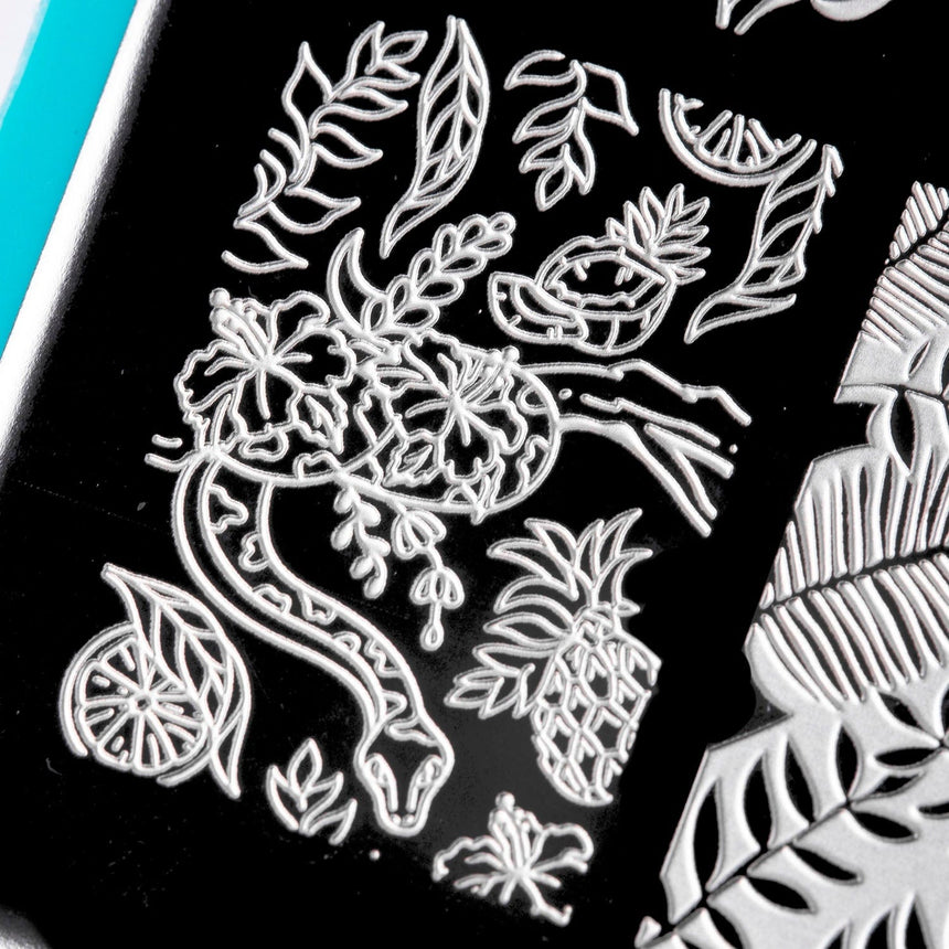 Into the Wild: Jungle Beat (MXM083) - Nail Stamping Plate