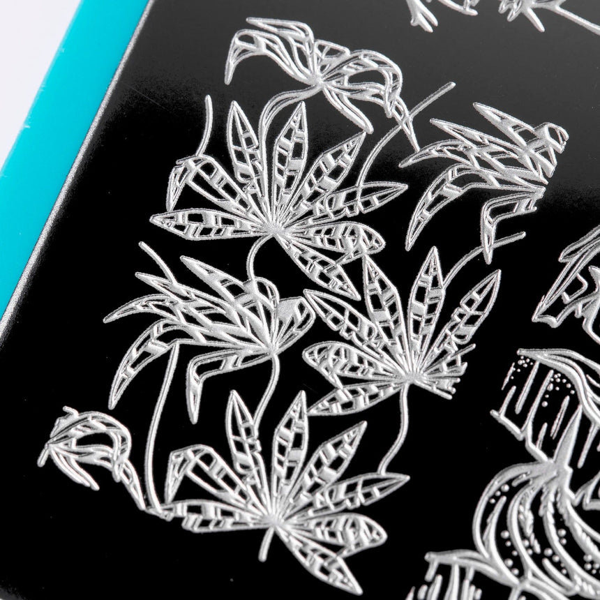 Into the Wild: Treetop Chorus (MXM084) - Nail Stamping Plate