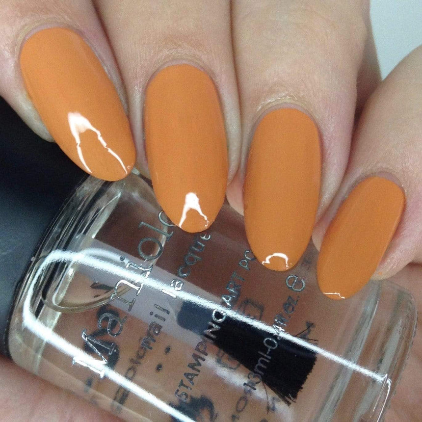 Perfect Trio: 3-Piece Storyteller Nail Stamping Polish Set