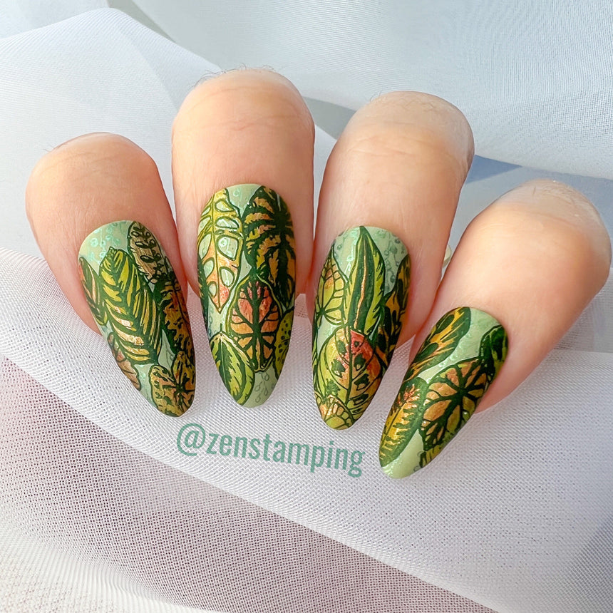 Plant Lover (M305) - Nail Stamping Plate