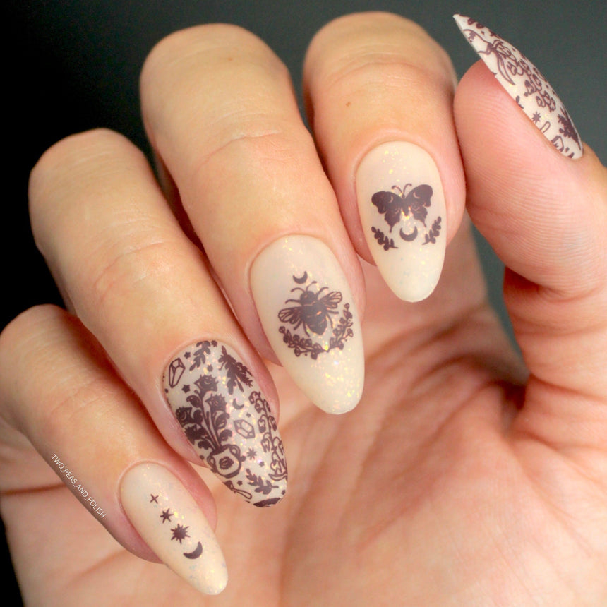 Practical Magic (M312) - Nail Stamping Plate