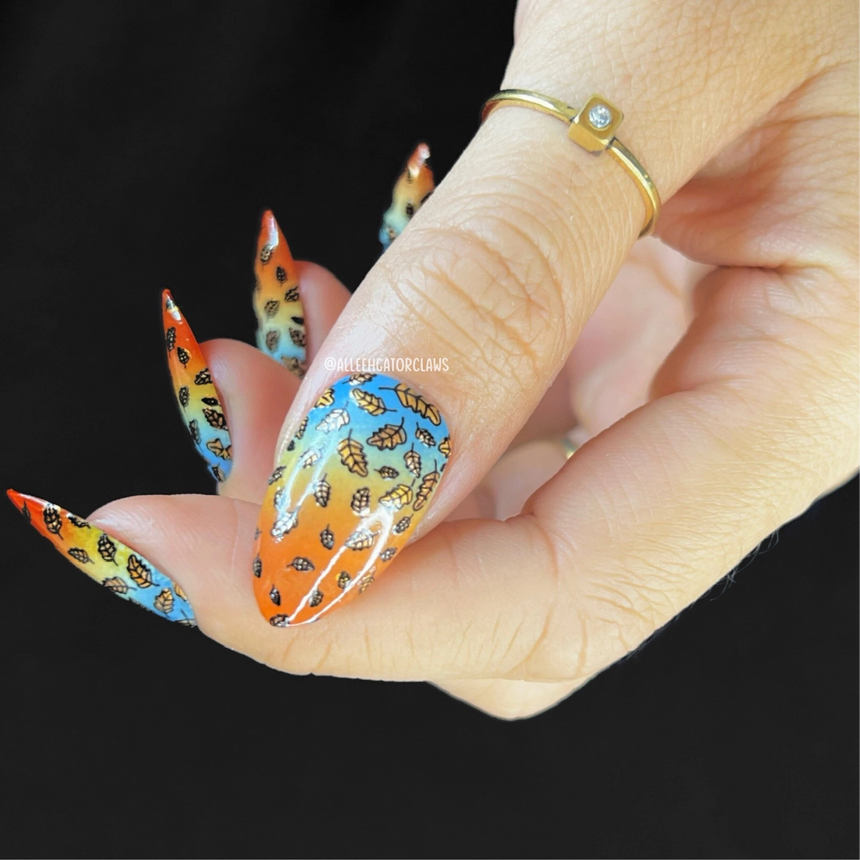 Season Gradients: Fall-Themed Nail Stamping Starter Kit