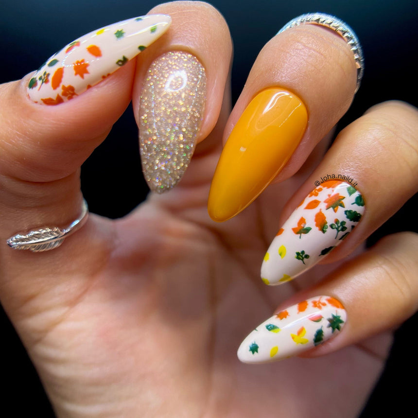 Season Gradients (M334) - Nail Stamping Plate